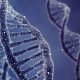 Genética e doenças: saiba como descobrir e utilizar o mapeamento genético a seu favor